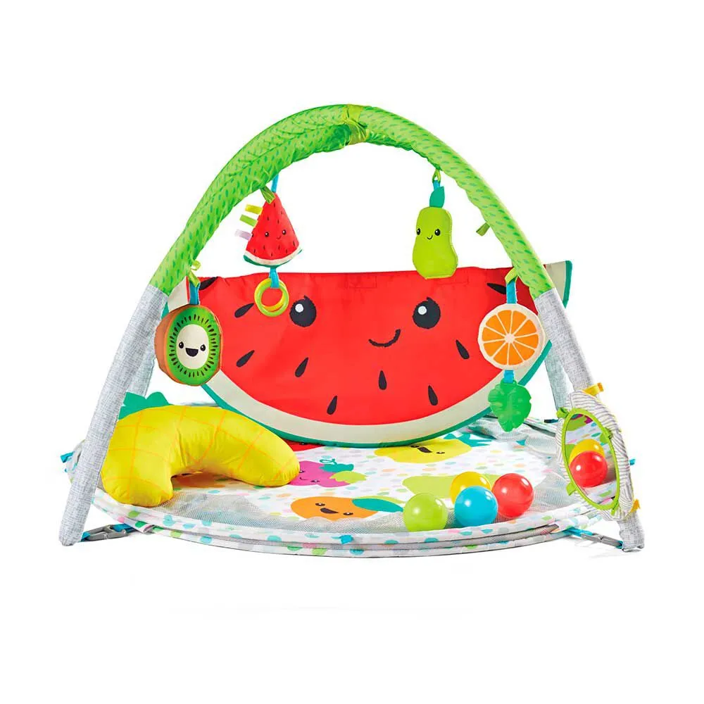 Gimasio Sandia 4 en 1 Infantino